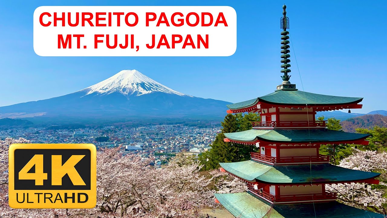 Walk to iconic Chureito Pagoda near Mt. Fuji with Sakura blossom, 4K 2023