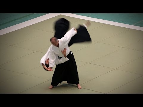 Aikikai Aikido - Isoyama Toshihiro Shihan - 54th All Japan Aikido Demonstration (2016)