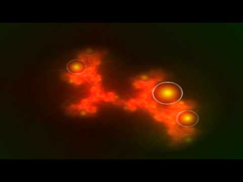 Stark Fader & The Cosmic Sound Heroes - 1st Meeting On Foo (remastered)