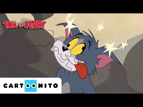 Compilație: Viitorul lui Tom | Tom și Jerry | Cartoonito