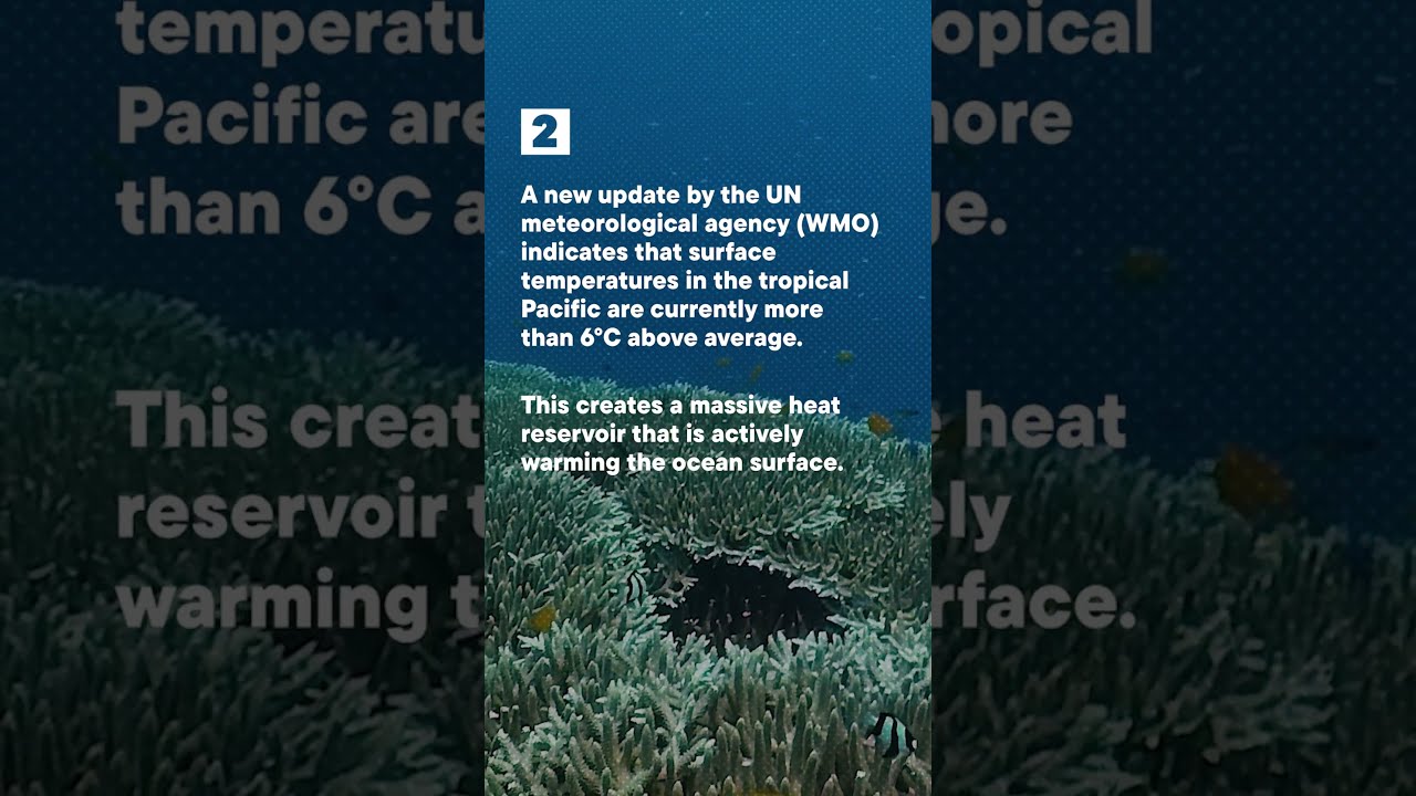Why Early Warning Systems Matter: El Niño Arrives in 2026