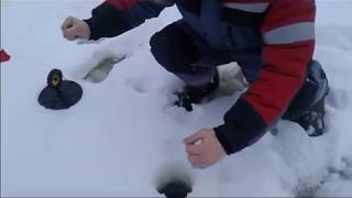 Зимняя рыбалка в сургуте 2019