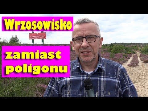 NIEZWYKŁE HISTORIE: Wrzosowisko na byłym poligonie