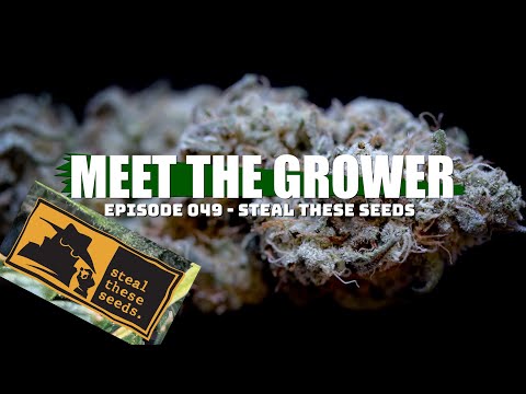 Meet the Grower Ep. 049 - Steal These Seeds - Sponsored by Mars Hydro