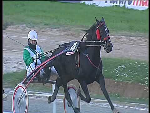 Trotto 10/11/2017 - 2ª corsa