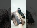 Habibti Tango Live IMO Call Periscope Live Arabic Girl Video Vlog Tangolive Viral Live