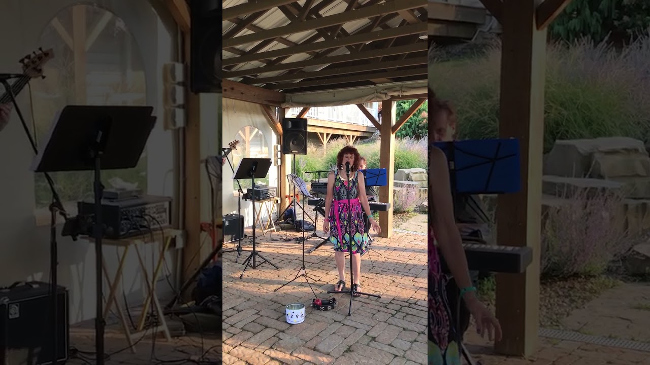Promotional video thumbnail 2 for Linda And The Boyz