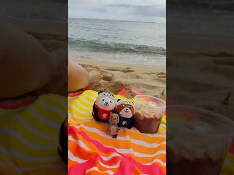 Eating Desserts in America | Acai Beach | Hawaii Trip 2021 Pt 16/29 Short Series