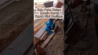 Download lagu Cara Tukang membuat Sponeng Kusen Dengan Ketam (Mesin Serut) #shorts #shorts #woodworking #diy mp3 Download lagu Cara Tukang membuat Sponeng Kusen Dengan Ketam (Mesin Serut) #shorts #shorts #woodworking #diy mp3