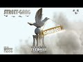 Street Gang LOMEWOOD Official Audio DrillTogo StreetGang Lomewood