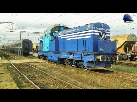 LDH1250 80-0154-2 & 89-0288-9 la Manevră/Shunting in Gara Timișoara Nord Nord - 09 December 2019