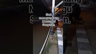 Download lagu malam menegangkan lg menunggu sangutan... mp3