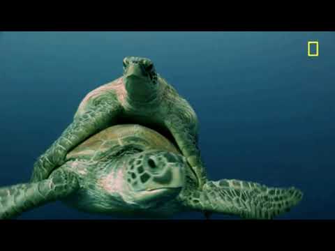 AdoeM x Bartus - Znowu