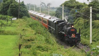 CT273 仲夏寶島號｜4666次 鹿野~山里