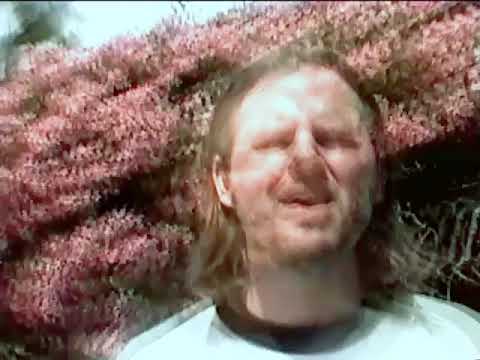 Got You In My World Now - Steve Marino