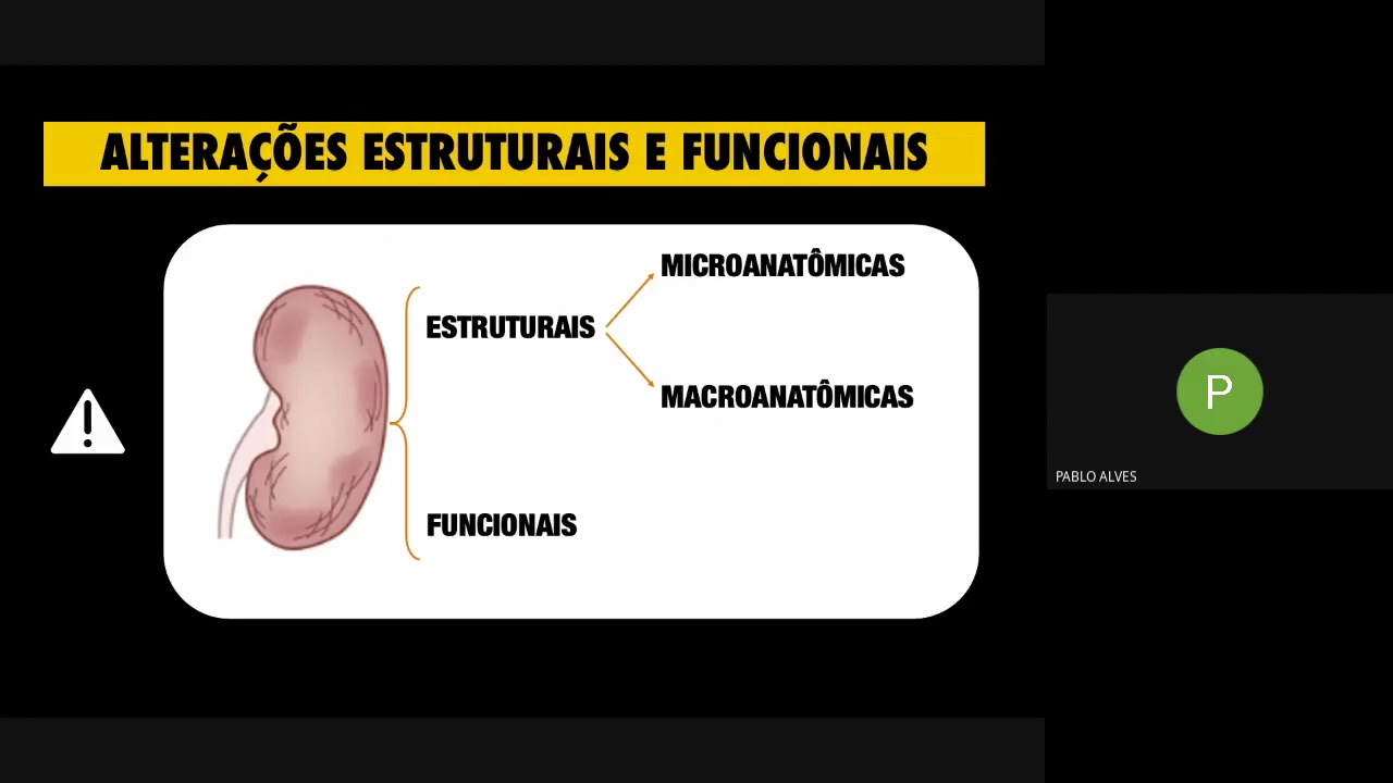 Envelhecimento Renal