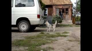 Power of Independence Tha Future is Ours p.2