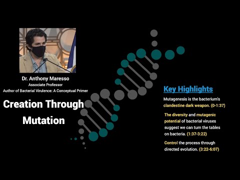 Creation Through Mutation