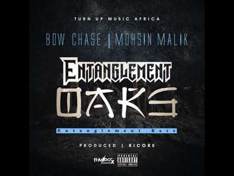 Bow Chase x Mohsin Malik Entanglement Bars Prod  by Ricore