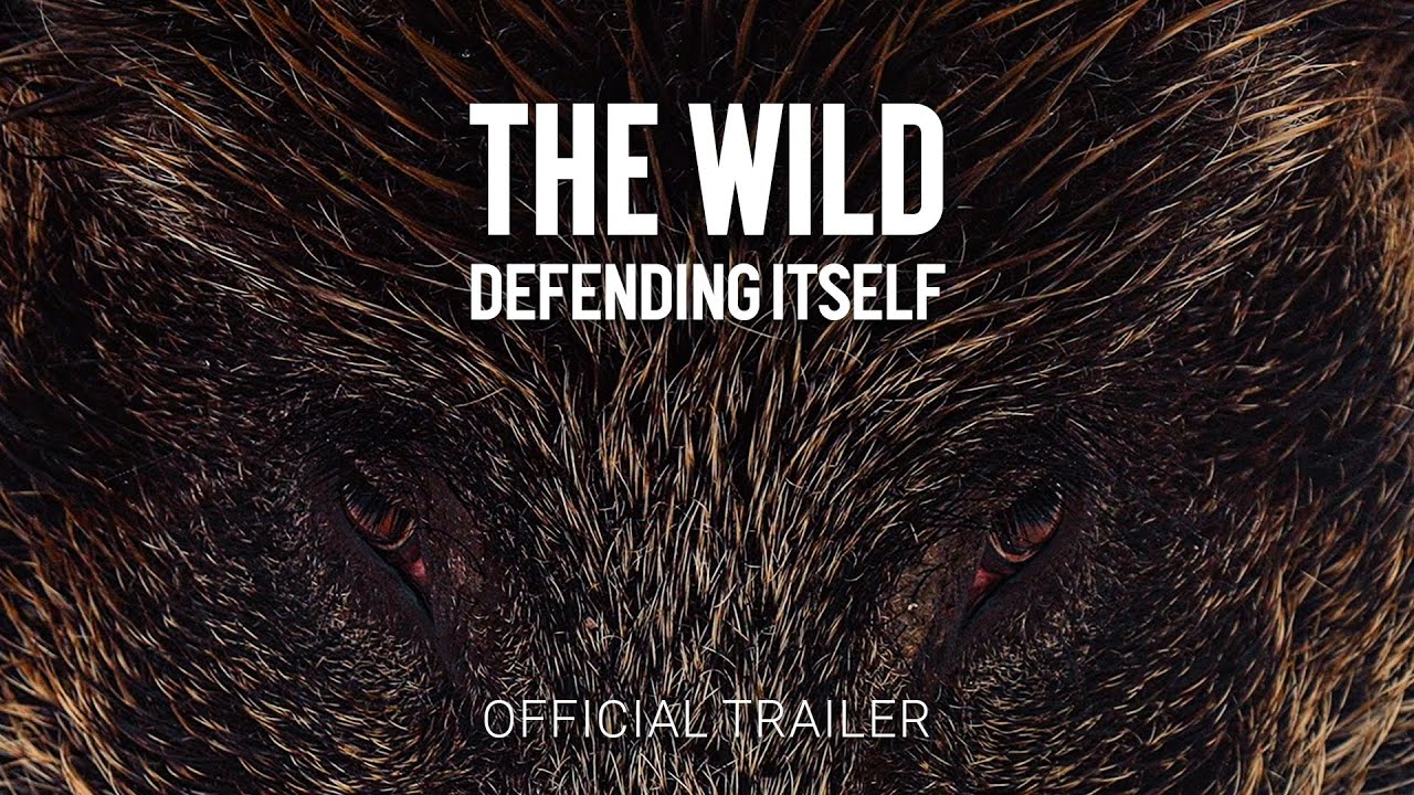 The Wild Defending Itself | Official Trailer