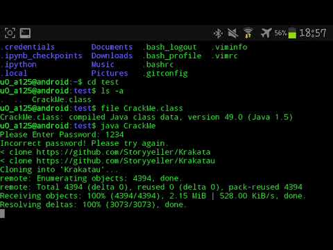 Java Code Technique Password Validation Test
