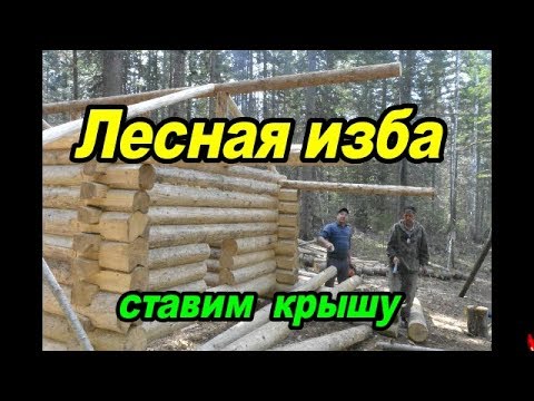 Лесная изба.Ставим крышу #3.      Forest hut.Put the roof.