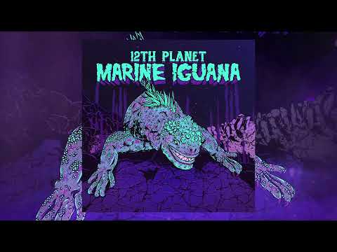 12th Planet - Marine Iguana [Official Visualizer]