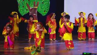 Pawar Public School Video