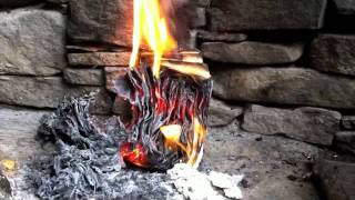 Bad Vibes, Luke Haines, Bad Vibes...