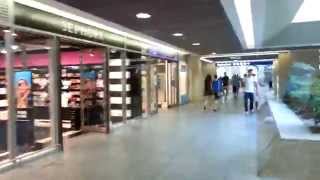 preview picture of video 'Torino Stazione / Turin Train Station Porta Nuova'
