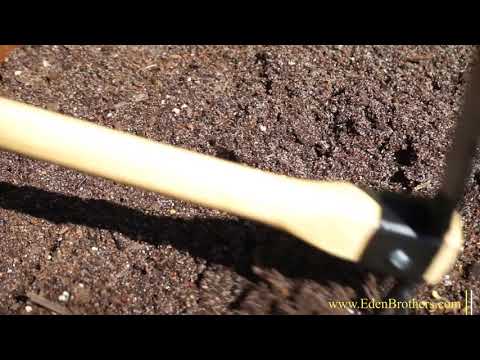 Tutorial on Planting Milkweed