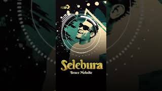 Bruce melody Serebura(2)