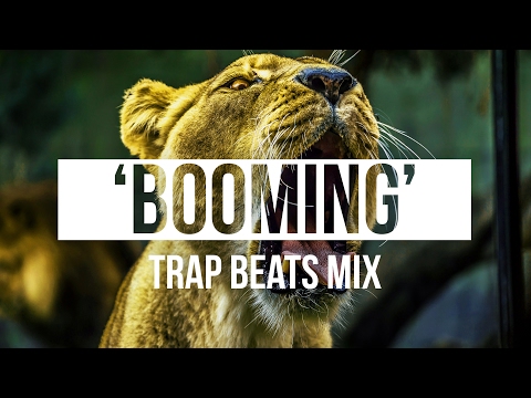 Booming 808 Hard Bass Trap Instrumentals Hip Hop Rap Beats Mix | Chuki Beats