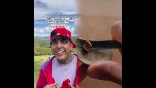 Video thumbnail image