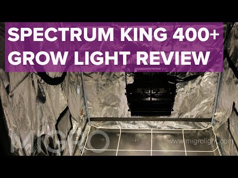 Spectrum King 400+ test and review