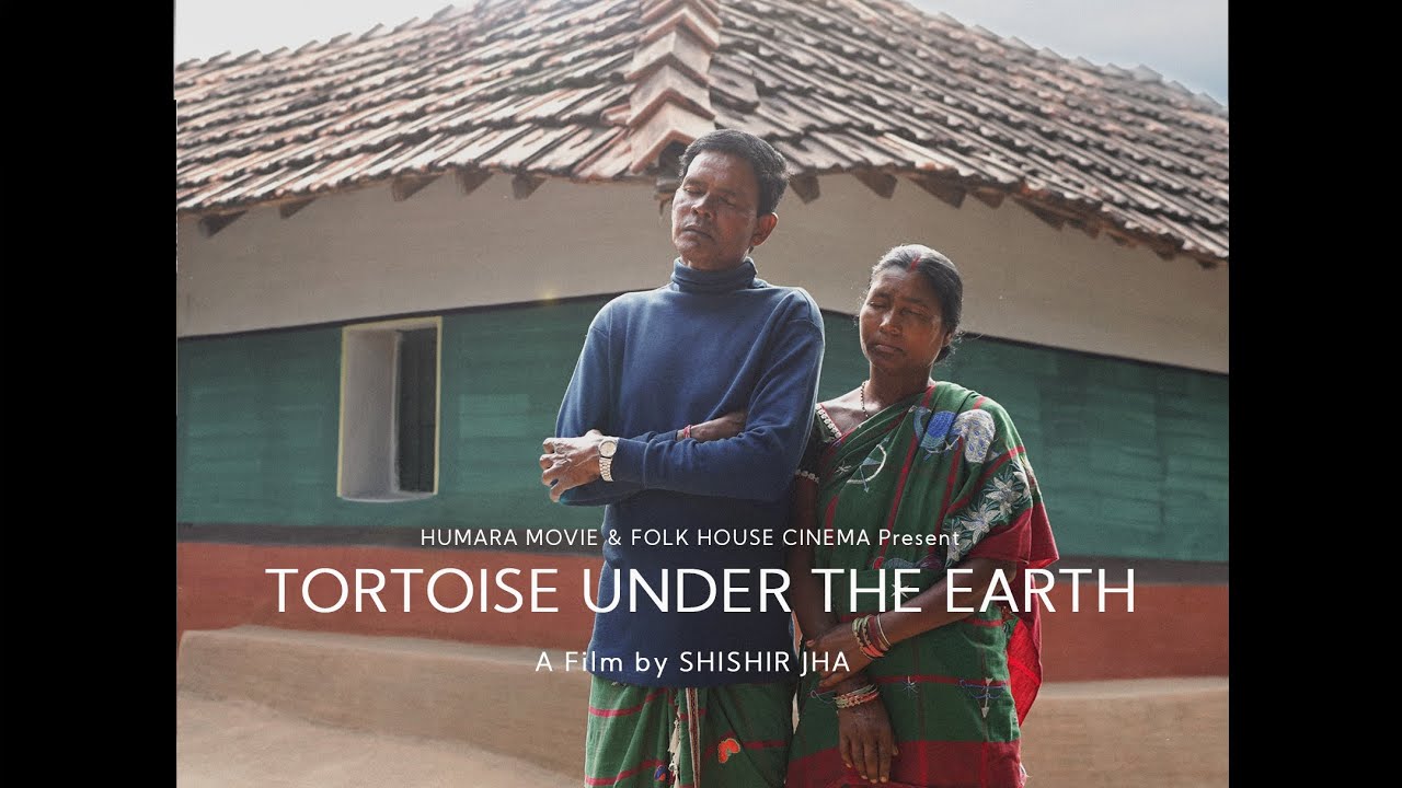 TORTOISE UNDER THE EARTH