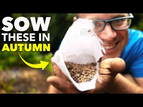 You Must Sow These Seeds in October