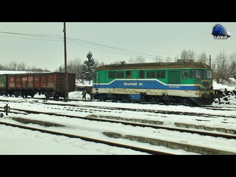 LDH1250 843818-1 & Fluieroasa 67-1237-1 Whistle Loko [1520mm] in Gara Dornești Station - 10 Feb 2021