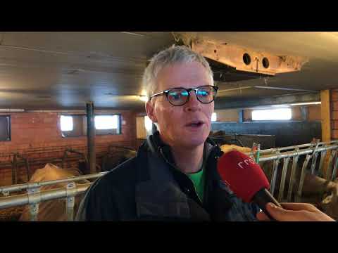 Zu Besuch auf dem Bio Bauernhof Oberwald