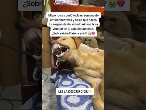 LEE LA DESCRIPCIÓN👇🏻