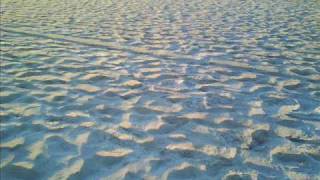 Tiger Lillies - Salvation