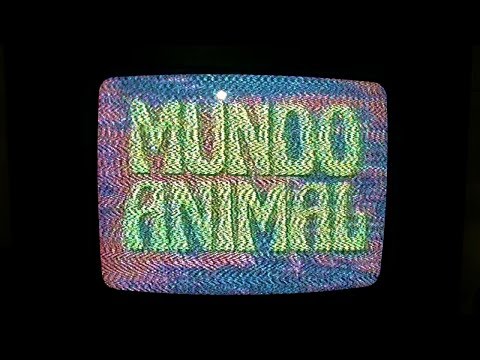 Animal World Interval - Telecurso 1st Grade 08/1986