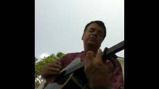 The Green Fields of Summer