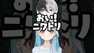 kamitoにニワトリ呼びされる白波らむねに爆笑するトナカイト【ぶいすぽ/切り抜き】#ぶいすぽ #白波らむね
