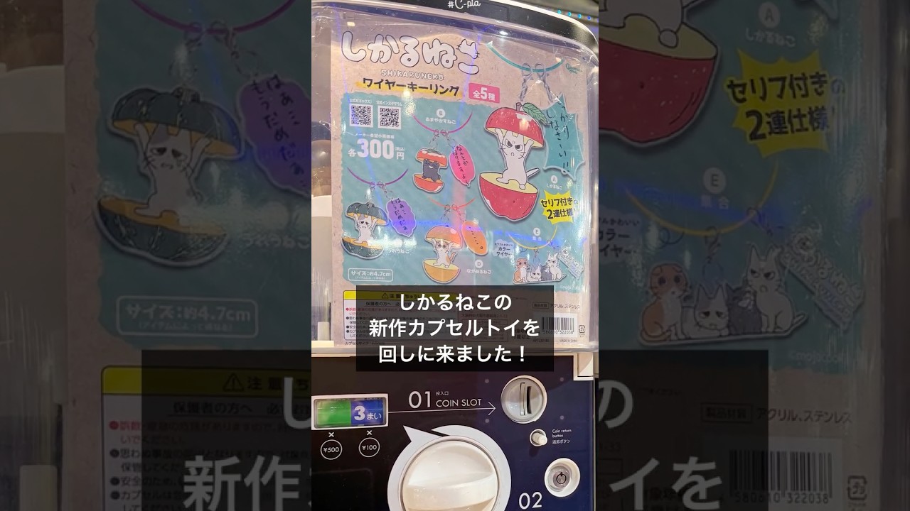 しかるねこワイヤーキーリング　#shorts #カプセルトイ #開封動画