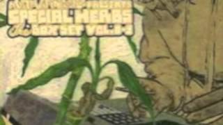 It Sounded Like A Roc! - MF Doom