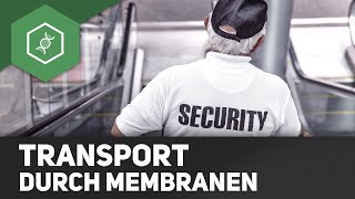 Transport durch die Zellmembran - Überblick