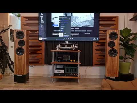 Weiss 501-4ch, Shindo Monbrison, Shindo Montille cv391, Living Voice ibx-r2