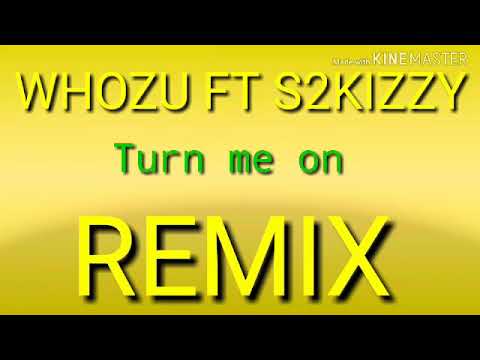 Whozu ft S2kizzy#turn me on#REMIX001