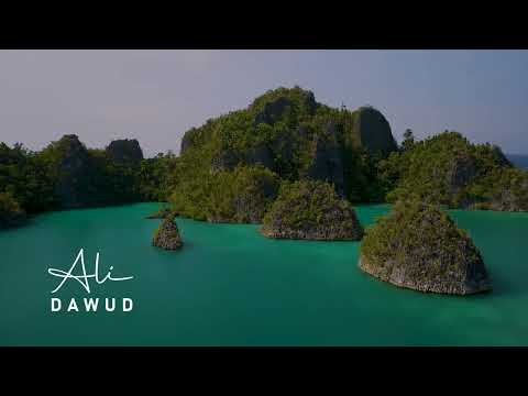 Ali Dawud - Calm (Official Video)